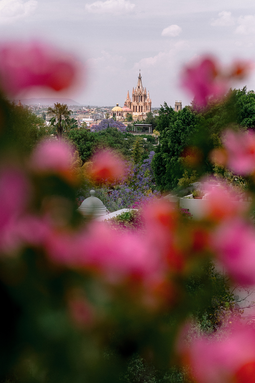 Parroquia de San Miguel Arc&aacute;ngel through pink bougainvillea