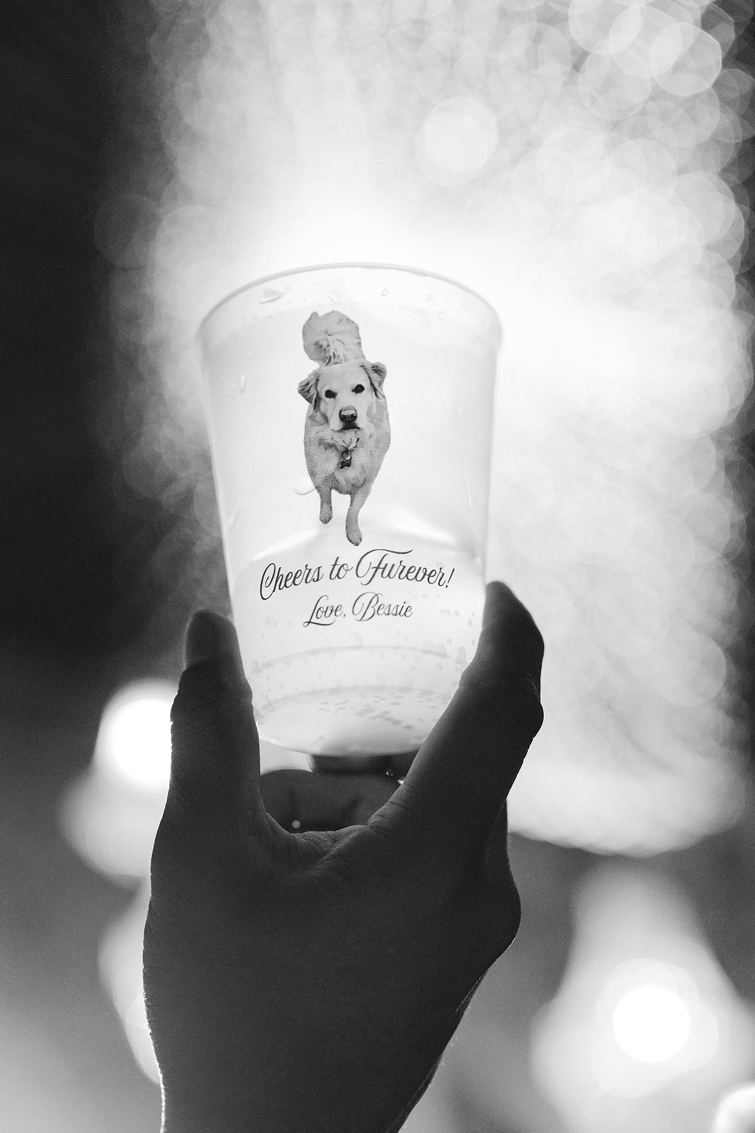 Cheers to Furever custom cup with dog Bessie at San Miguel de Allende wedding